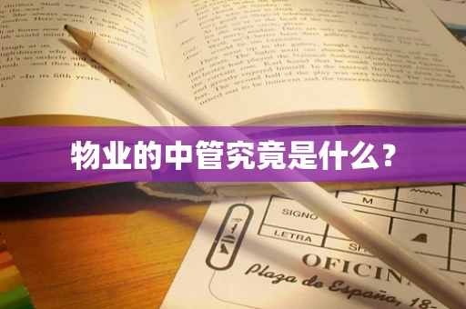 物业的中管究竟是什么？