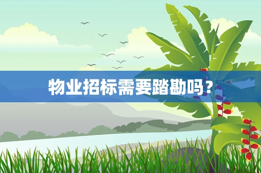 物业招标需要踏勘吗？