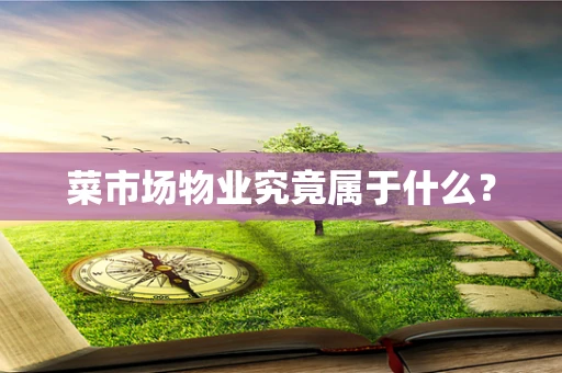 菜市场物业究竟属于什么？