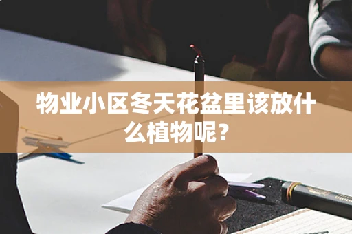 物业小区冬天花盆里该放什么植物呢？
