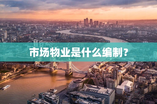 市场物业是什么编制？