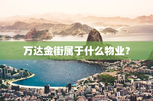 万达金街属于什么物业？