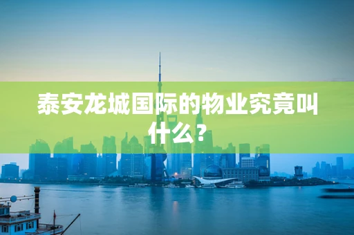 泰安龙城国际的物业究竟叫什么？