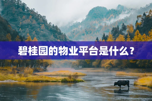 碧桂园的物业平台是什么？