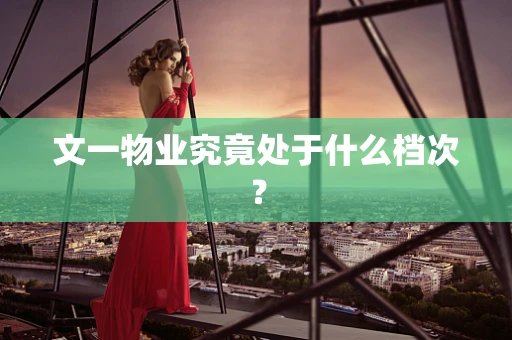 文一物业究竟处于什么档次？