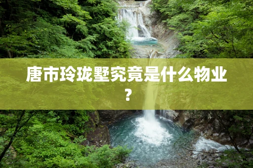 唐市玲珑墅究竟是什么物业？