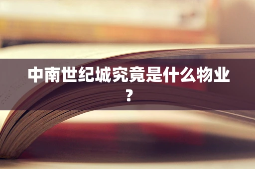 中南世纪城究竟是什么物业？