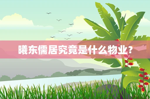 曦东儒居究竟是什么物业？