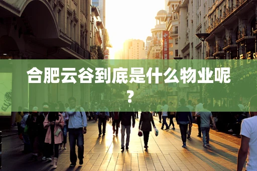 合肥云谷到底是什么物业呢？
