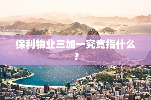 保利物业三加一究竟指什么？