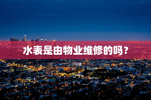 水表是由物业维修的吗？