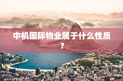 中机国际物业属于什么性质？
