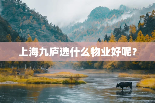 上海九庐选什么物业好呢？