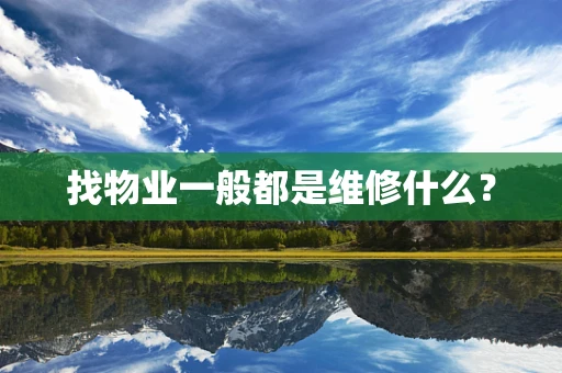 找物业一般都是维修什么？