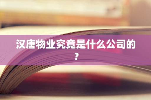 汉唐物业究竟是什么公司的？
