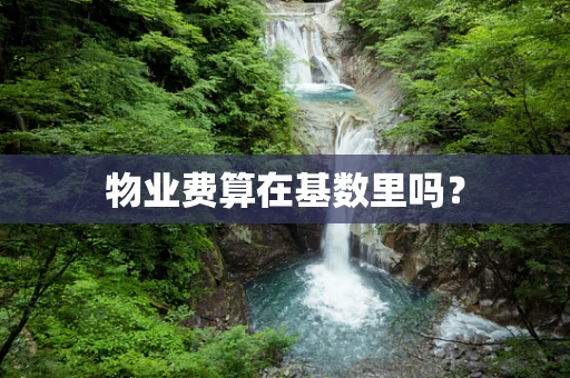 物业费算在基数里吗？