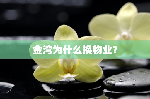 金湾为什么换物业？
