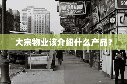 大宗物业该介绍什么产品？