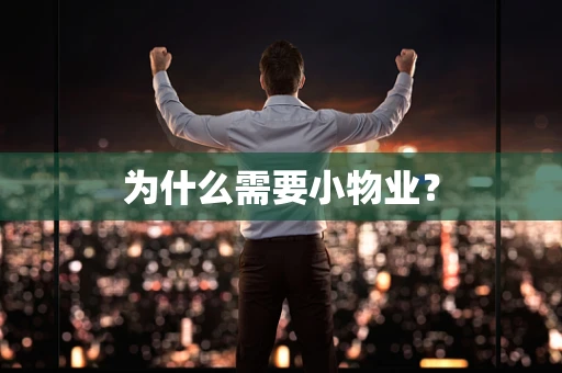 为什么需要小物业？