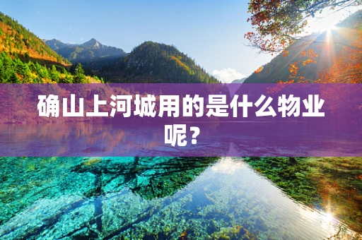 确山上河城用的是什么物业呢？