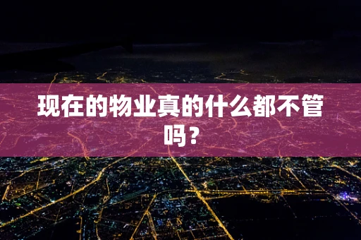 现在的物业真的什么都不管吗？