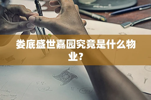 娄底盛世嘉园究竟是什么物业？