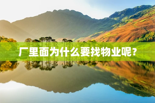厂里面为什么要找物业呢？