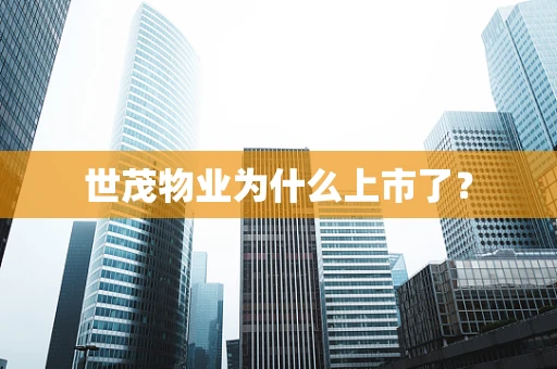 世茂物业为什么上市了？