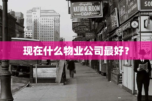 现在什么物业公司最好？