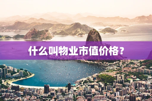 什么叫物业市值价格？