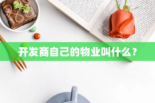 开发商自己的物业叫什么？