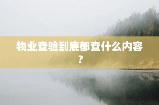 物业查验到底都查什么内容？
