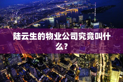 陆云生的物业公司究竟叫什么？
