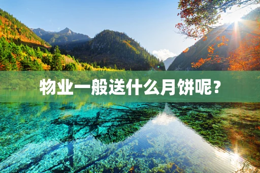 物业一般送什么月饼呢？