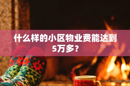 什么样的小区物业费能达到5万多？
