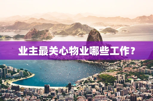 业主最关心物业哪些工作？