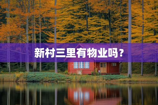 新村三里有物业吗？