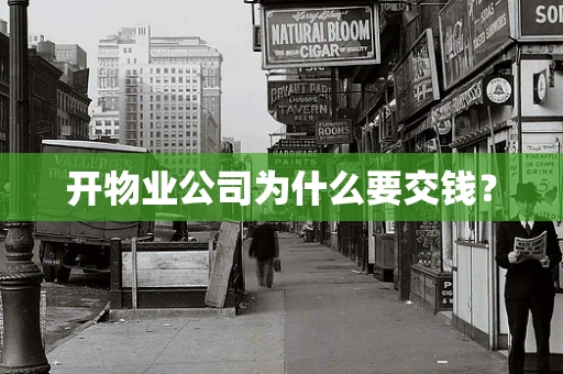 开物业公司为什么要交钱？