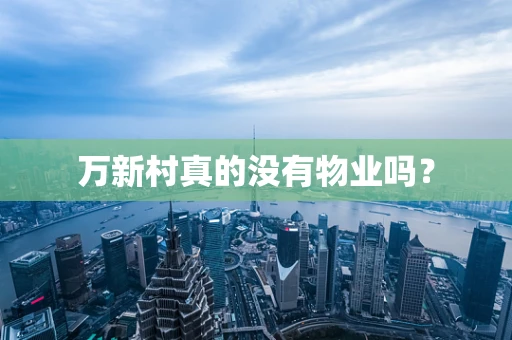 万新村真的没有物业吗？