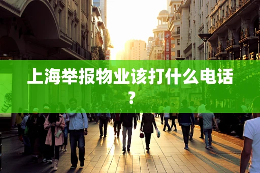 上海举报物业该打什么电话？