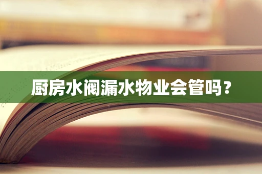 厨房水阀漏水物业会管吗？