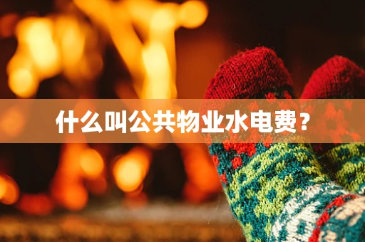 什么叫公共物业水电费？