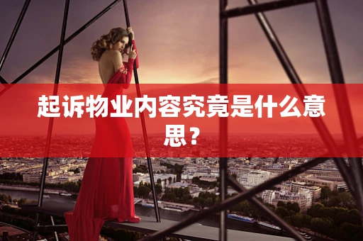 起诉物业内容究竟是什么意思？