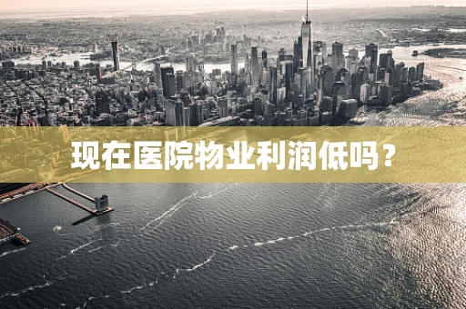 现在医院物业利润低吗？