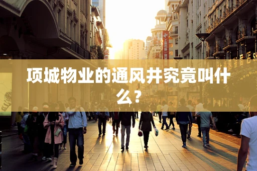 项城物业的通风井究竟叫什么？