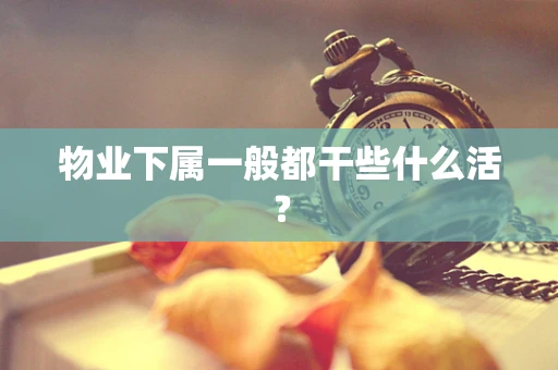 物业下属一般都干些什么活？