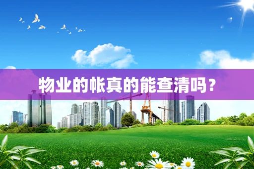物业的帐真的能查清吗？