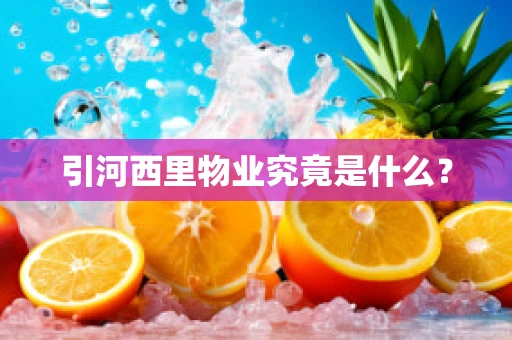 引河西里物业究竟是什么？