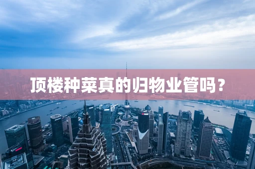 顶楼种菜真的归物业管吗？