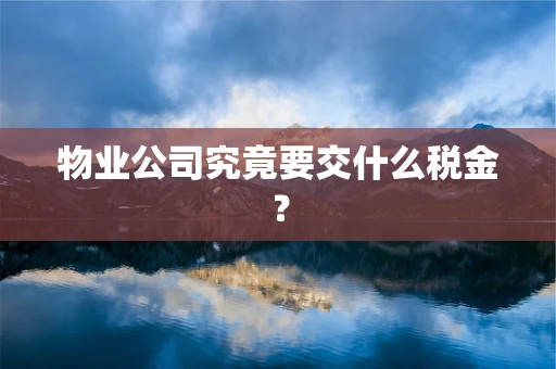 物业公司究竟要交什么税金？